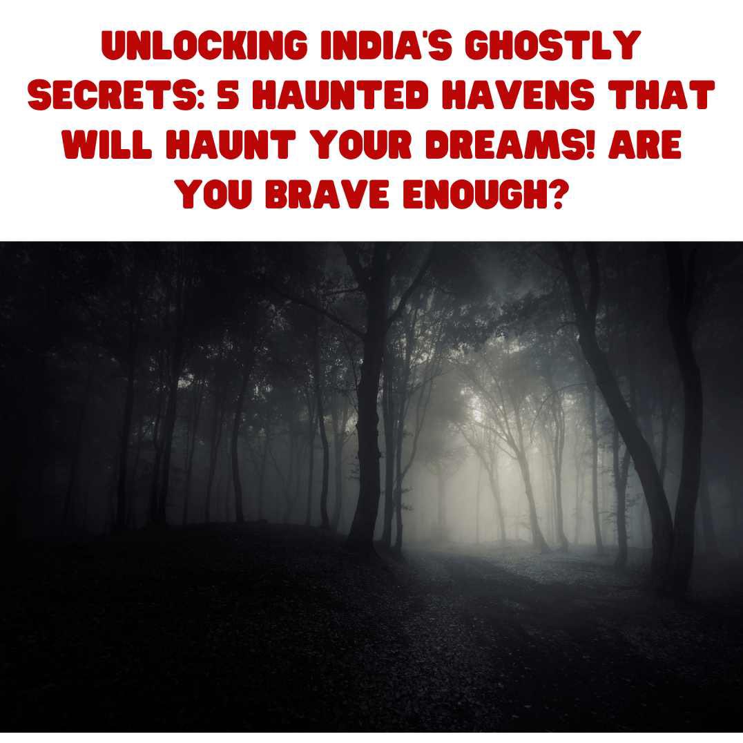 Uncover ghostly secrets and explore the mystic wonders of our rich history.
thesoulfulpage.com/indiahaunts

👻 #HauntedIndia #SoulfulExplorations #GhostlyAdventures #DiscoverWithCourage #EerieHistory #MysticDestinations #ExploreWithUs #SpectralWonders #LinkInBio #TheSoulfulPage