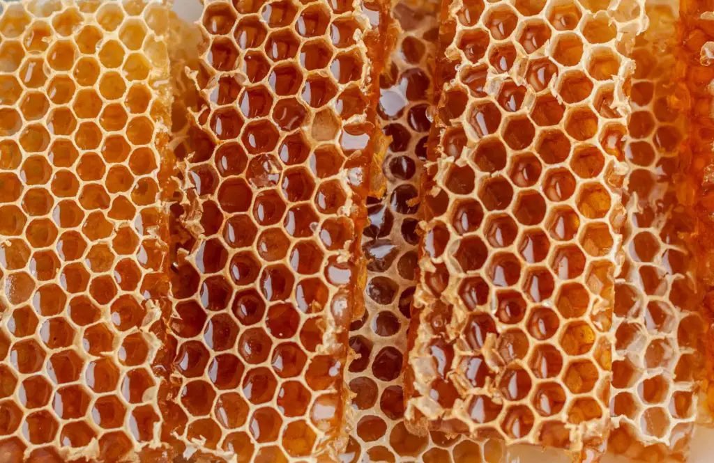 #GeossWordWednesday Honeycomb

This occurs in late stage #lungdisease when the parenchyma is destroyed leaving a lacy, holey structure. It kind of looks like “honeycomb” (but is not so delicious) 🐝 🍯 

#pathtwitter #medtwitter #pathresidents #pathassist