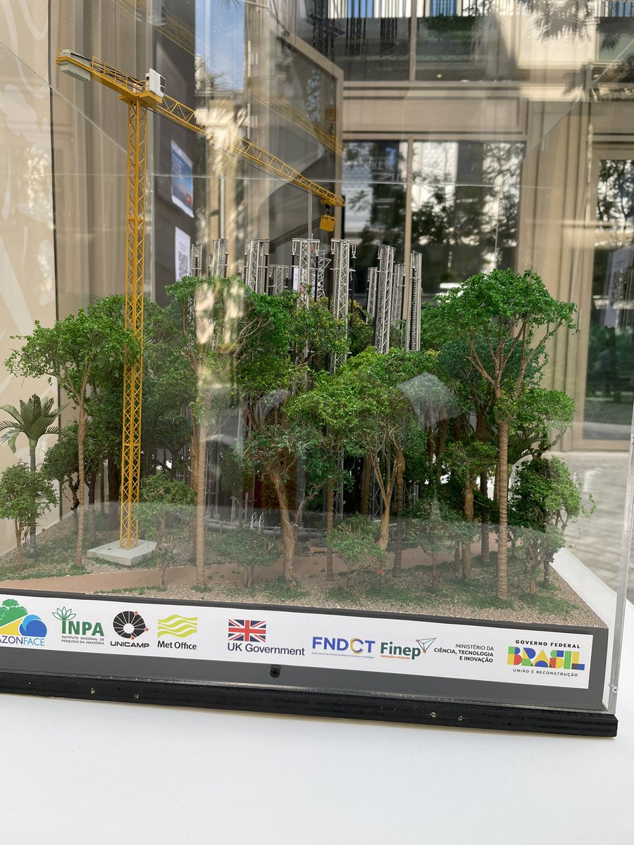 UKSINet's tweet photo. Outside the UK’s @COP28_UAE pavilion, there is a model of the @amazonface project! 🌳 

This is fitting as the UK and Brazil are neighbours at this year’s conference, and worked together towards AmazonFACE🇬🇧🇧🇷

#COP28 #climate 

More information here➡️ https://t.co/rcRuQWL443 https://t.co/cMpoYxcx56