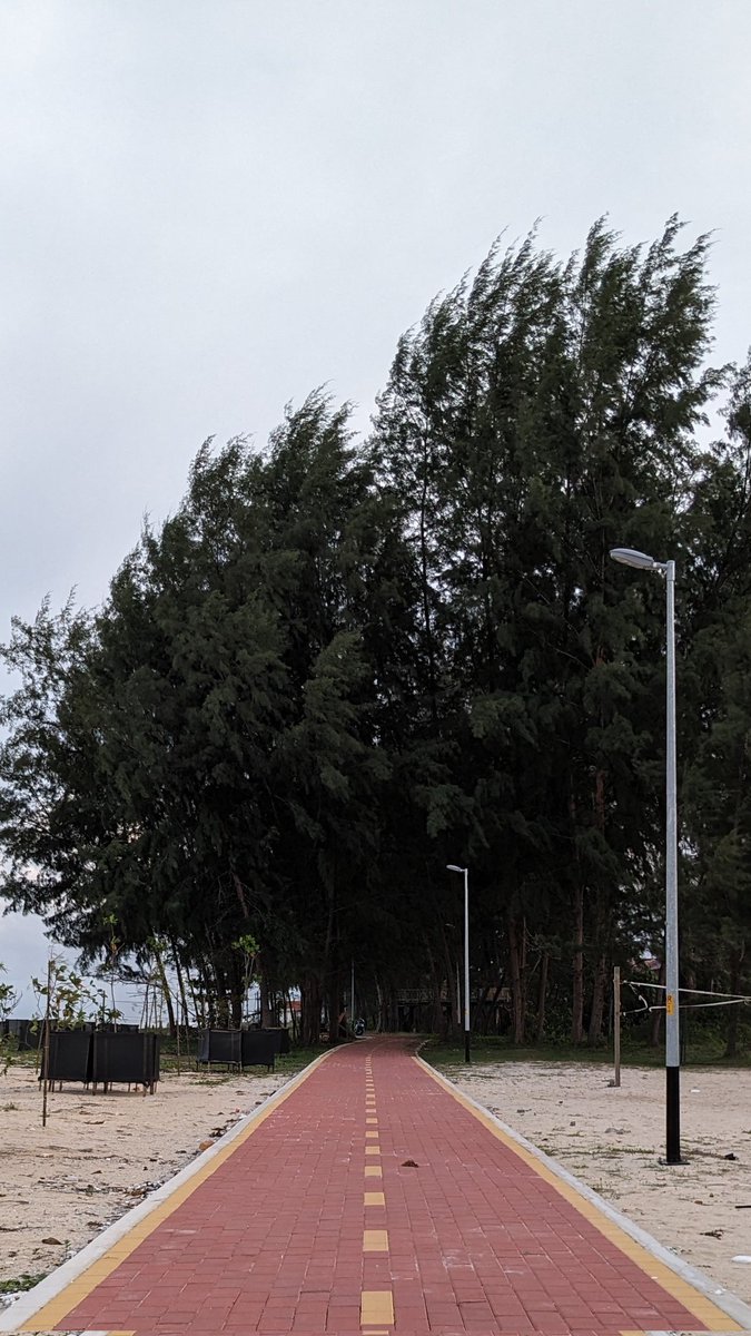 rambleandwander's tweet photo. Took the opportunity to check out the new cycling route in Kuala Terengganu yesterday. The route is 9.3km long - from Teluk Ketapang all the way to Pantai Batu Buruk.

I only went to the Pantai Batu Buruk part, though, which is a route of about 1.5km right on the beach. https://t.co/Ipo8mD35yS
