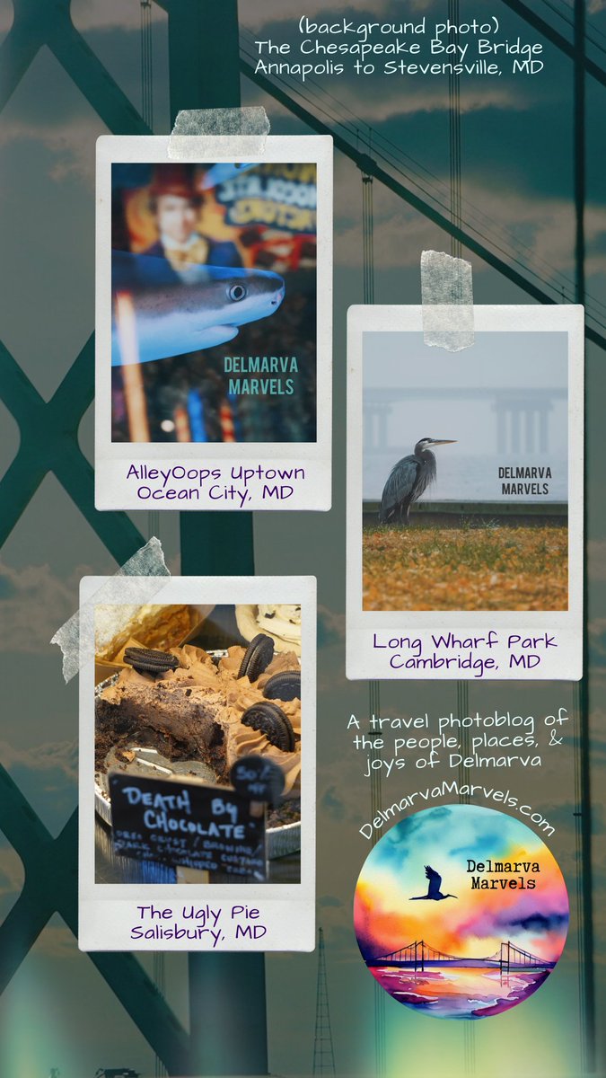 DelmarvaMarvels's tweet photo. @DelmarvaMarvels is growing!  With a new website in the works, our Delmarva travel photos and recommendations will be easier to peruse AND searchable!

Check out the draft site so far at https://t.co/Kq7IXSgV0w

Want to sponsor us, or have a recommendation to share?  Reach out! https://t.co/PydWp0y634