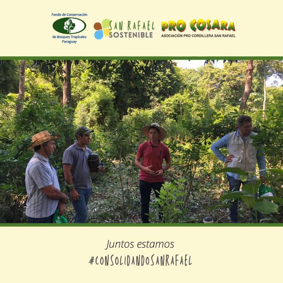 PRO COSARA tweet media