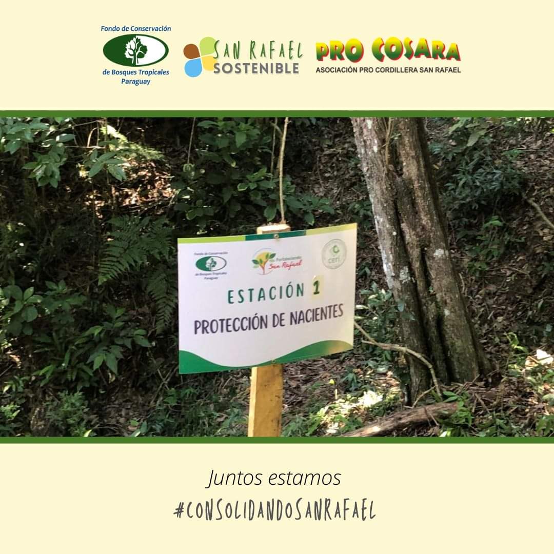 PRO COSARA tweet media