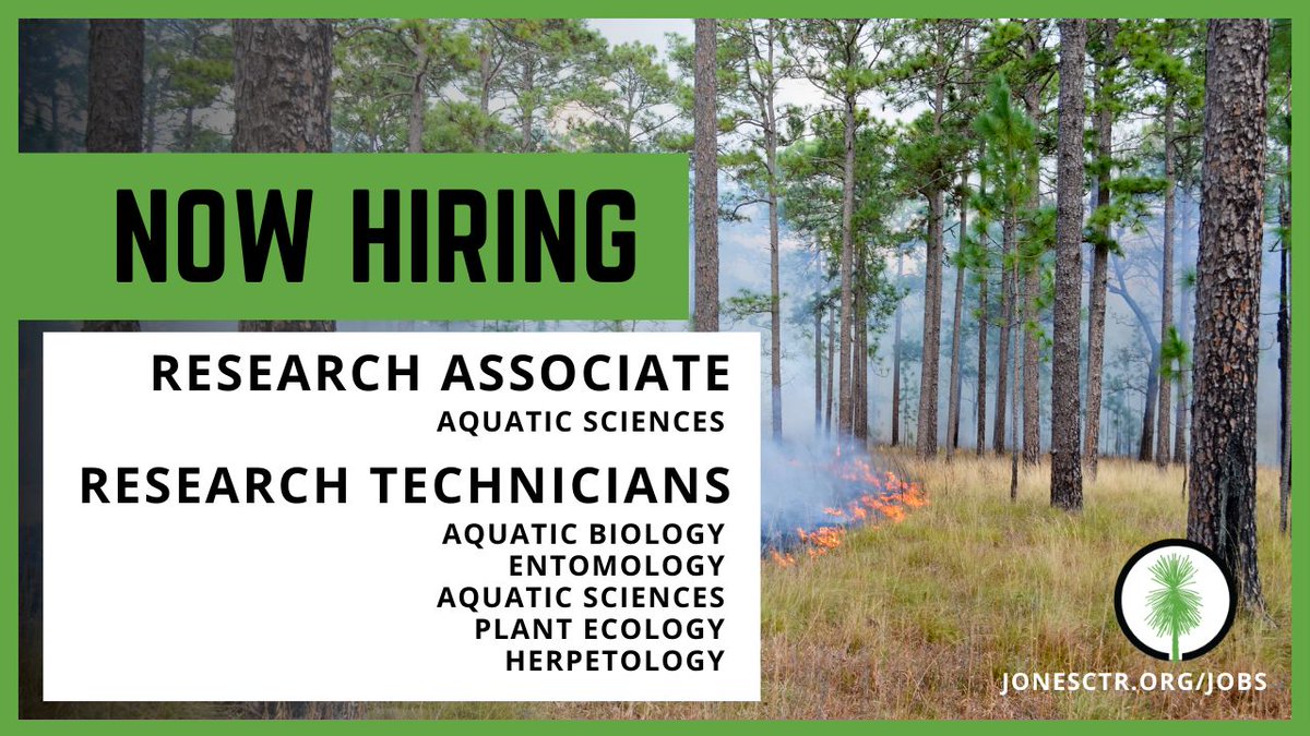 RARE OPPORTUNITY: Apply now for Research Associate in our new Aquatic Sciences Lab! We are also seeking Research Technicians to join our team in various other labs. jonesctr.org/jobs/