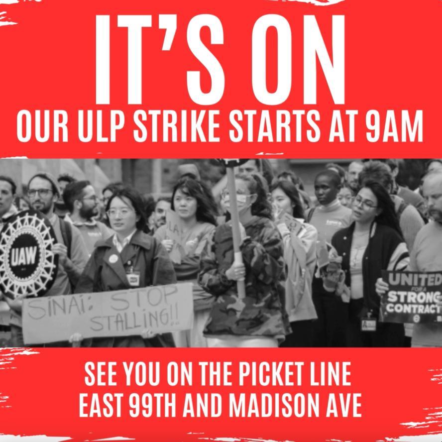 Sinai Postdoctoral Organizing Committee-UAW (@spocuaw) on Twitter photo 