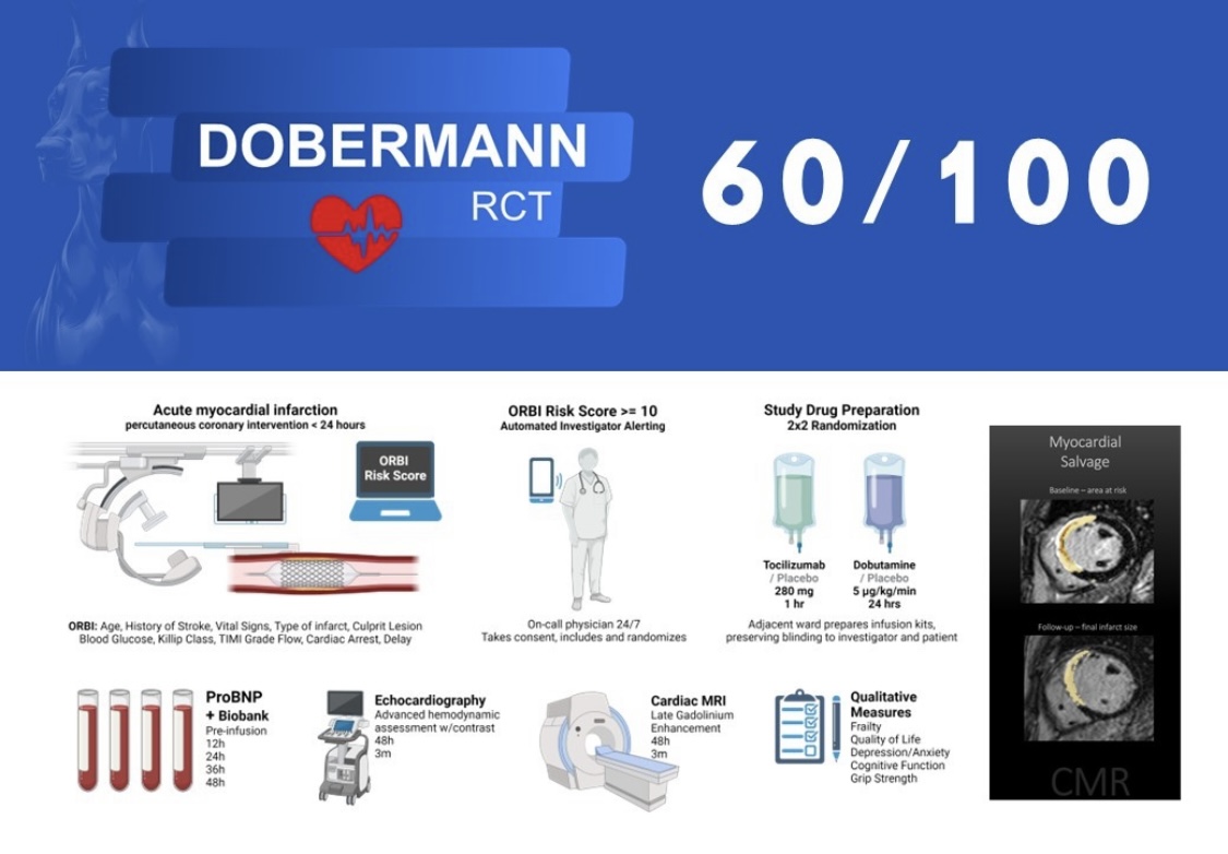 DOBERMANN RCT (@dobermann_rct) on Twitter photo We have enrolled 10 patients in just one month, and reached another milestone faster than expected. 60 out of 100 patients randomized 💪
Great teamwork <a href="/HolleSarah90/">Sarah Holle</a> <a href="/JoakimKunkel/">Joakim Bo Kunkel</a> <a href="/joyland2704/">Martin Frydland, MD, PhD</a> <a href="/HelleSoholm/">Helle Søholm</a> at <a href="/RigsHeart/">RigsHeart 🫀🚨</a> <a href="/cardiac_group/">CRITICAL CARDIAC CARE RESEARCH GROUP</a> We have enrolled 10 patients in just one month, and reached another milestone faster than expected. 60 out of 100 patients randomized 💪
Great teamwork <a href="/HolleSarah90/">Sarah Holle</a> <a href="/JoakimKunkel/">Joakim Bo Kunkel</a> <a href="/joyland2704/">Martin Frydland, MD, PhD</a> <a href="/HelleSoholm/">Helle Søholm</a> at <a href="/RigsHeart/">RigsHeart 🫀🚨</a> <a href="/cardiac_group/">CRITICAL CARDIAC CARE RESEARCH GROUP</a>