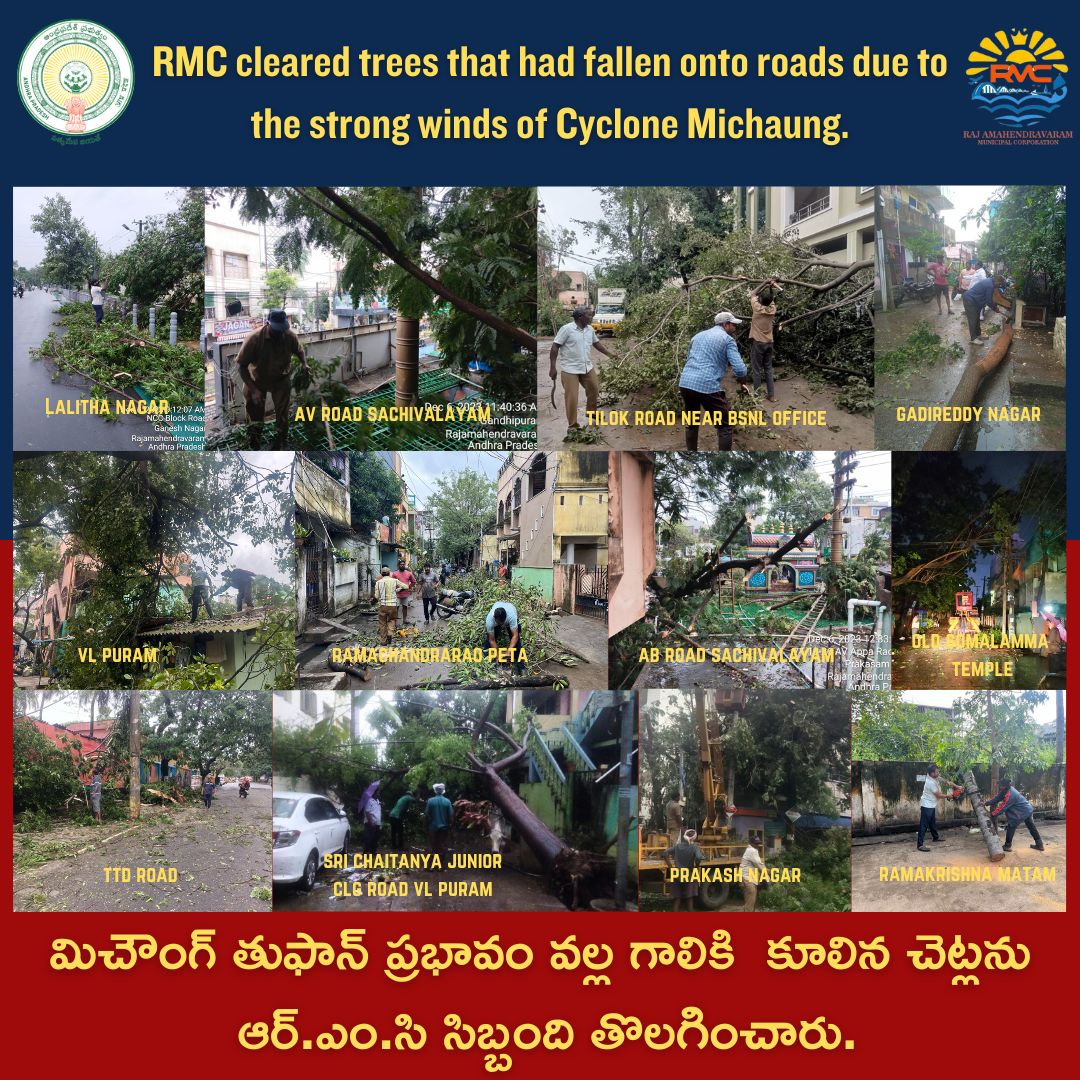 RMC cleared trees that had fallen onto roads due to the strong winds of Cyclone Michaung.
#michaungcyclone #treefalling #trees #strongwinds #stagnation #stagnatedwater #rmc