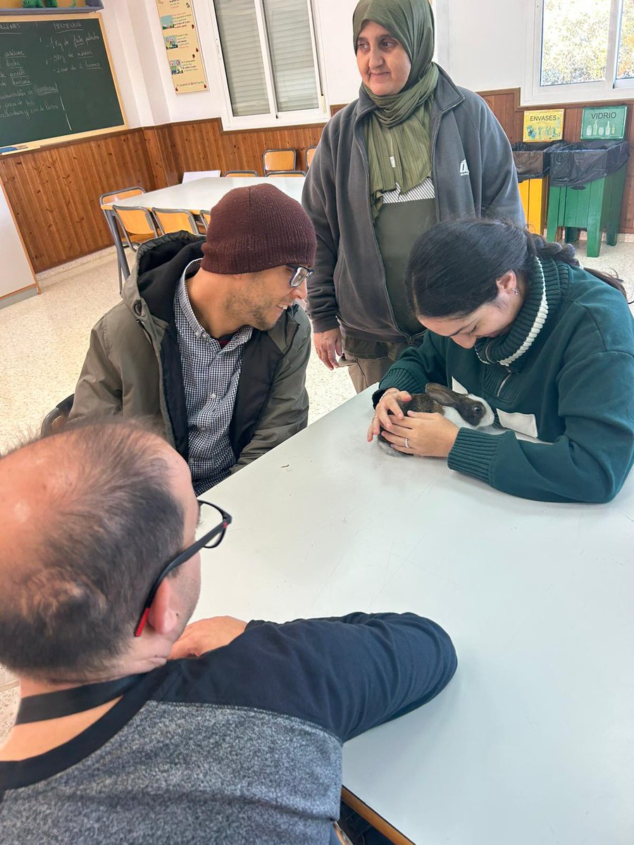 OBIMASA tweet media