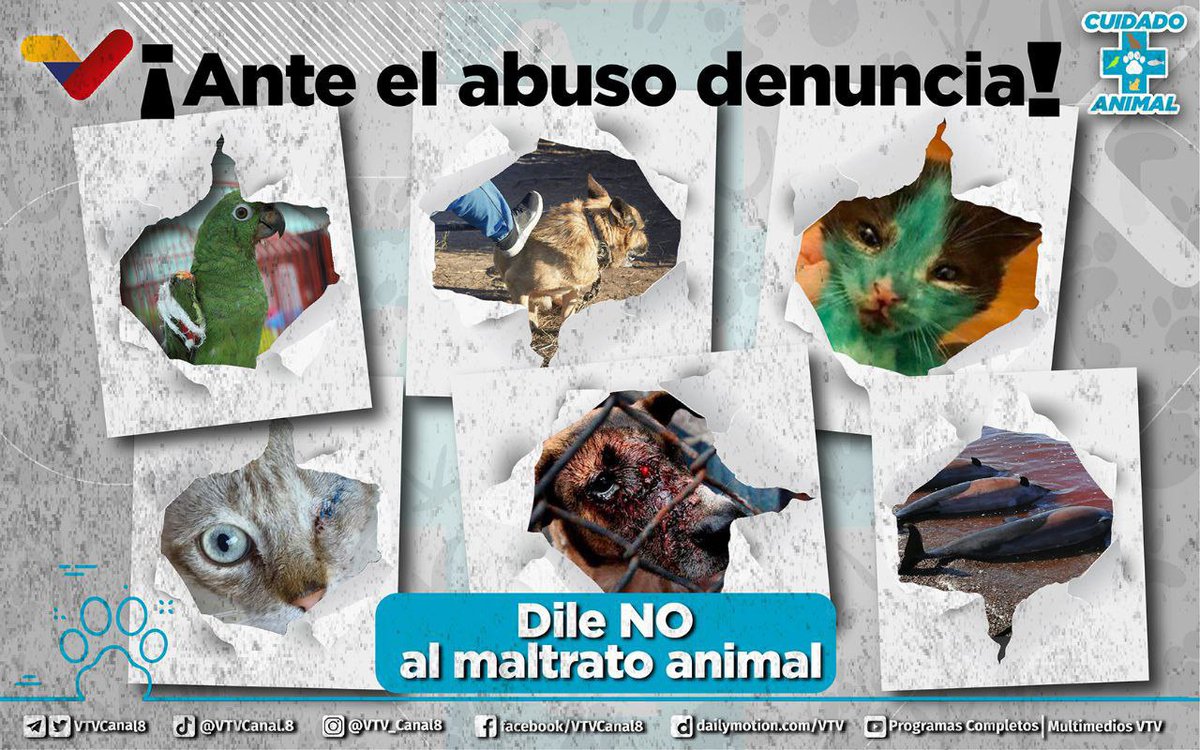 #NoAlMaltratoAnimal🐾| Los animales no deben ser maltratados, recuerda siempre que es nuestro deber protegerlos. Si eres testigo de algún abuso contra los animales es tu deber cívico denunciarlo ante las autoridades competentes. #EsteEsMiMapa
