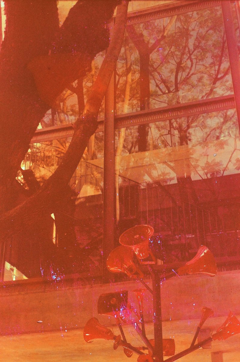 jodellabarca's tweet photo. GM🤍
Some results from my first film soup🥣✨

#35mm #experimental #filmsoup https://t.co/k0615rvCqZ