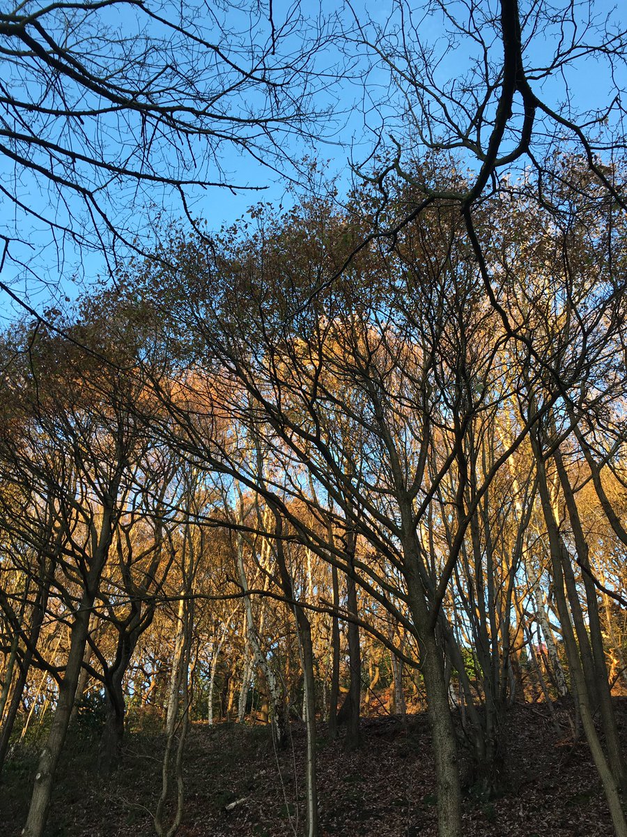 What a beautiful day 🌟