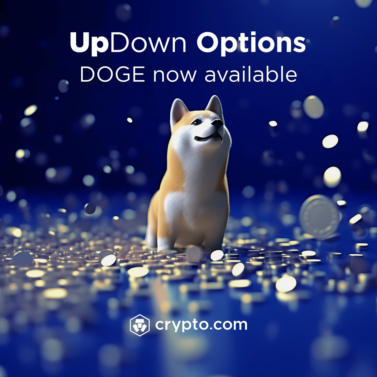 cryptocom's tweet photo. @dogecoin $DOGE contracts are also available for UpDown Options 📈📉

Start trading now 👉 https://t.co/a9haygqOmV https://t.co/1fykGoam1k