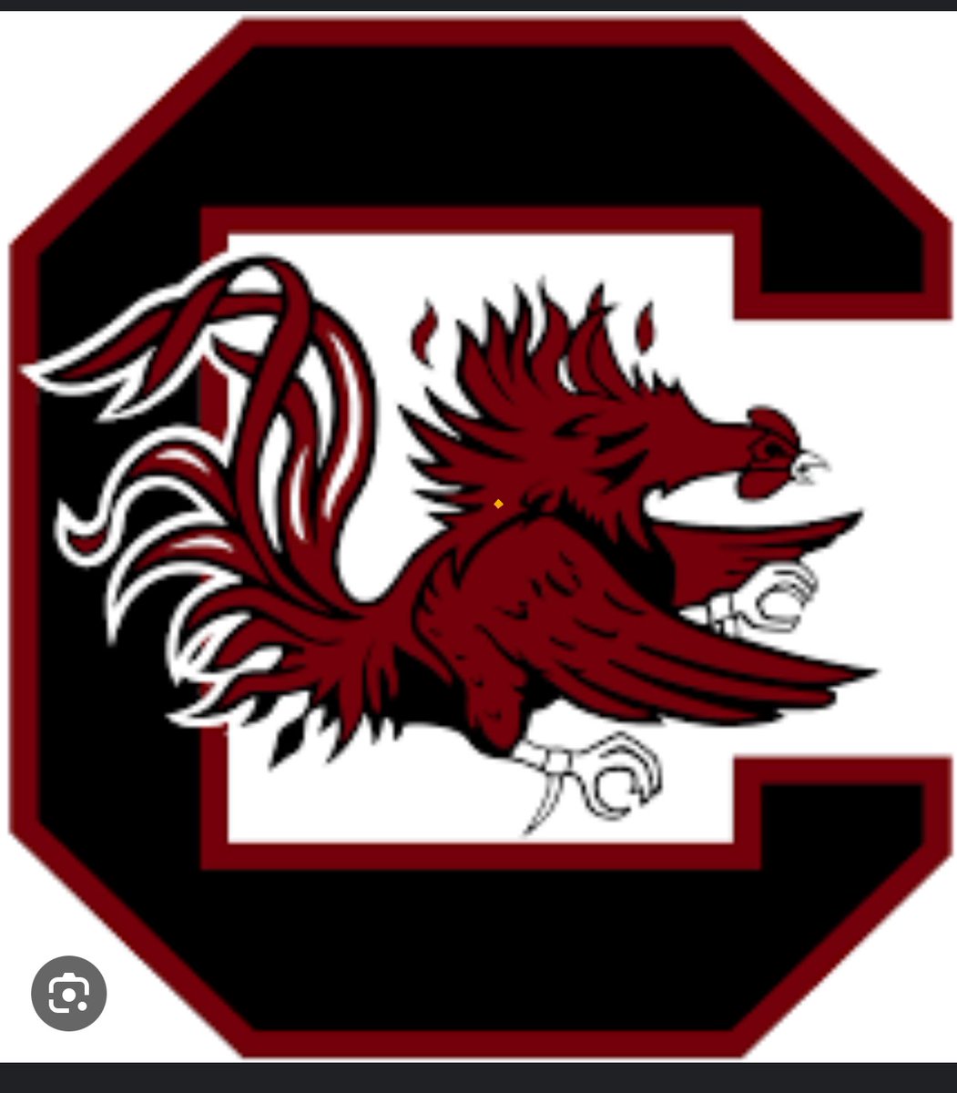 The University of South Carolina has offered!♥️♥️♥️