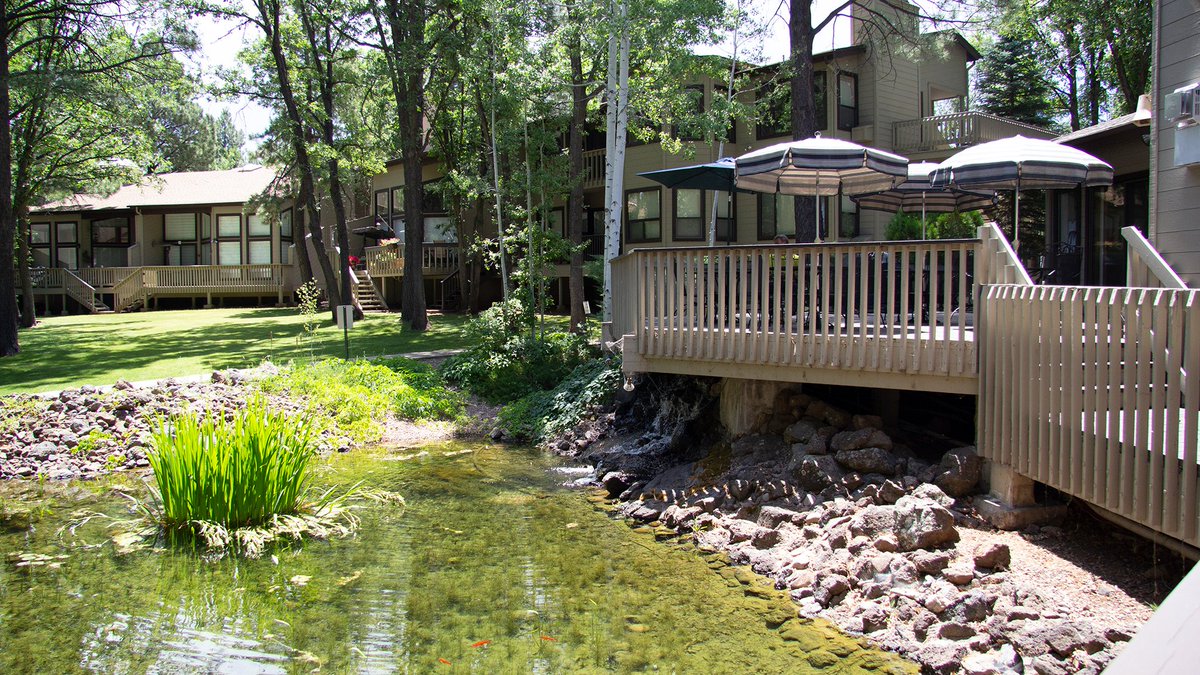 Quality Hill Resort in Pinetop, Arizona found itself in a downward spiral due to an aging owner base. Read the article by John DLuzansky, Board President, Quality Hill Resort, and learn how this resort revitalized their timeshare property.
tbmassoc.org/revitalizing-y…