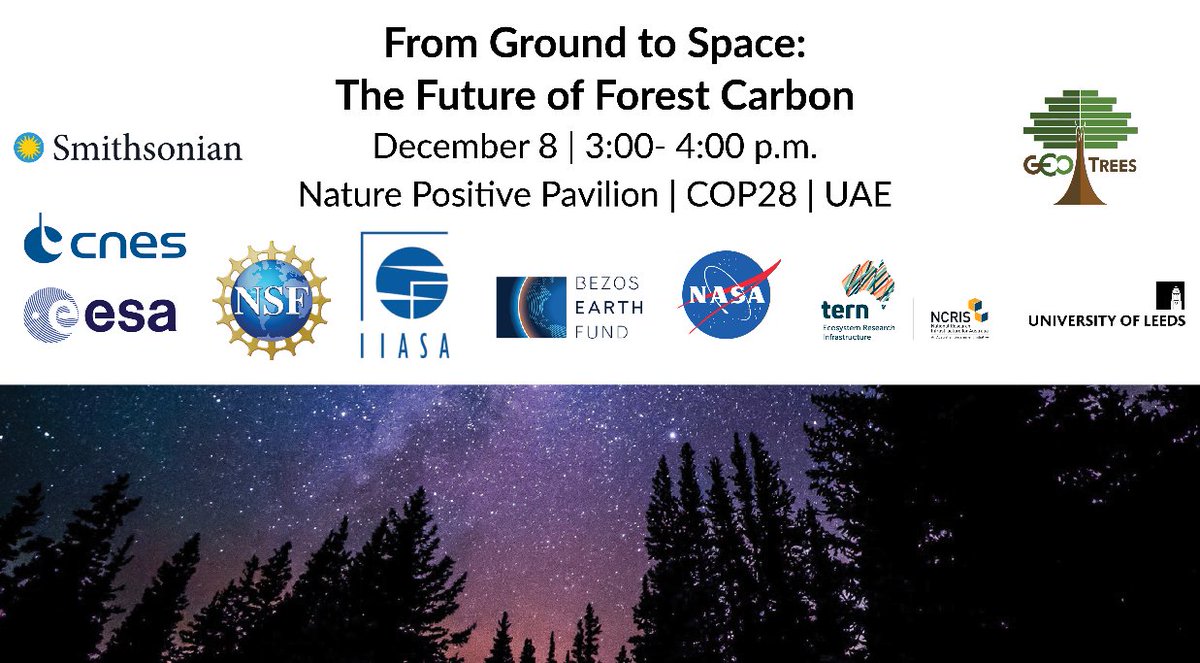 STRI-ForestGEO will be participating in the COP28 Panel 'From Ground to Space: The Future of Forest Carbon' on Dec. 8 @ 3-4pm GST. Click the link to learn about the speakers & watch the event live! 💻rb.gy/6di1xw