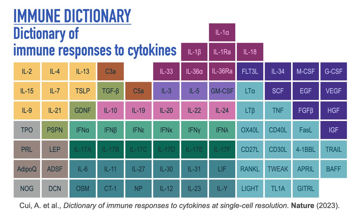 ✨#ImmuneDictionary✨is out today in @Nature! Paper nature.com/articles/s4158… Software immune-dictionary.org We created scRNA-seq dictionary of 17+ immune cell types responding to 86 cytokines in vivo, discovered the immune system is far more complex than previously known 1/