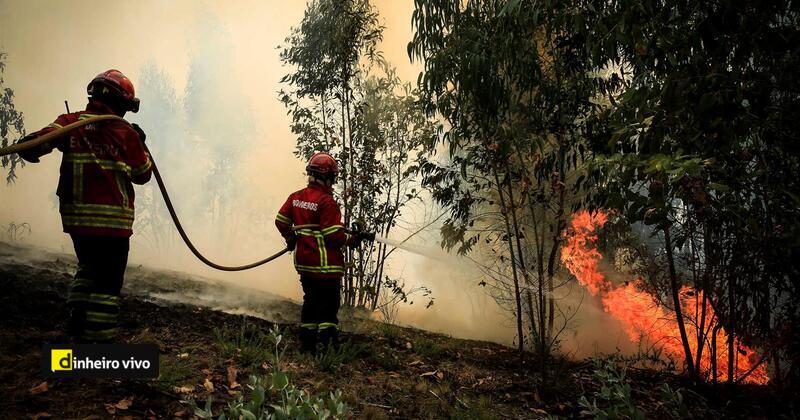 Cartão de identificação dos bombeiros disponível em formato digital a partir desta quarta-feira dlvr.it/SznlCL