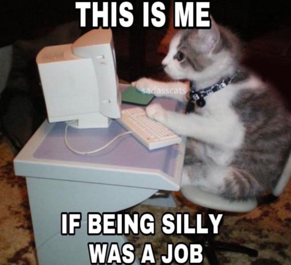 literallymecats's tweet photo. https://t.co/AqD8UqOD9y