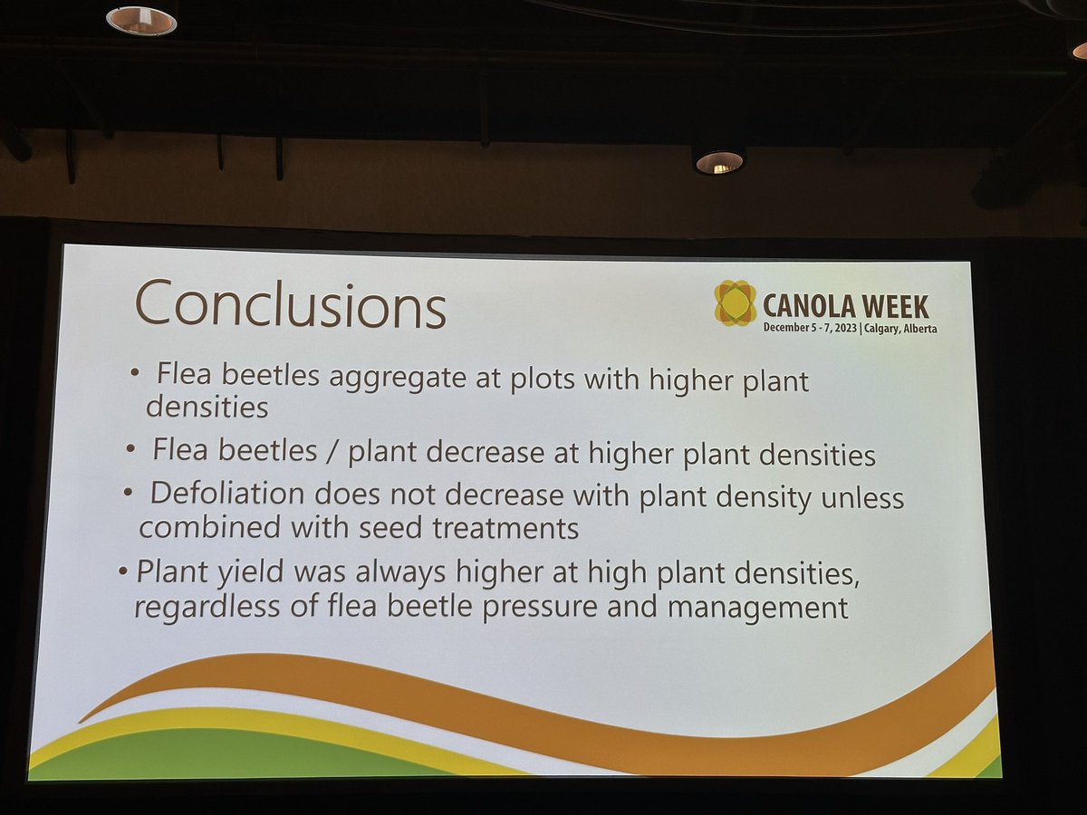 Some interesting flea beetle research at #canolaweek2023 @BASFAgSolutions