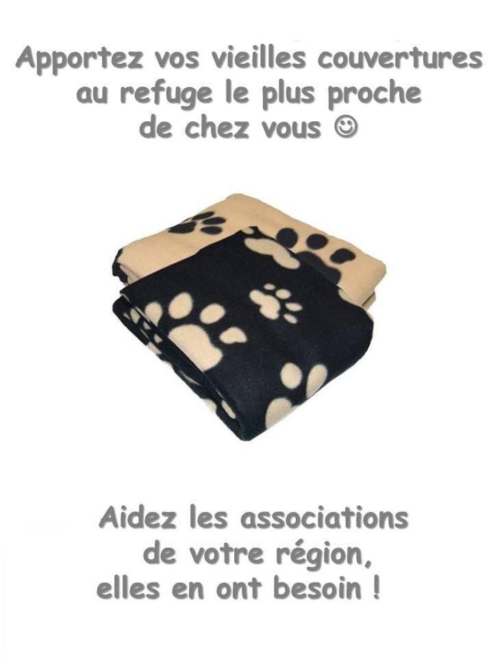 chatservian's tweet photo. Merci! https://t.co/IyNkxRendr