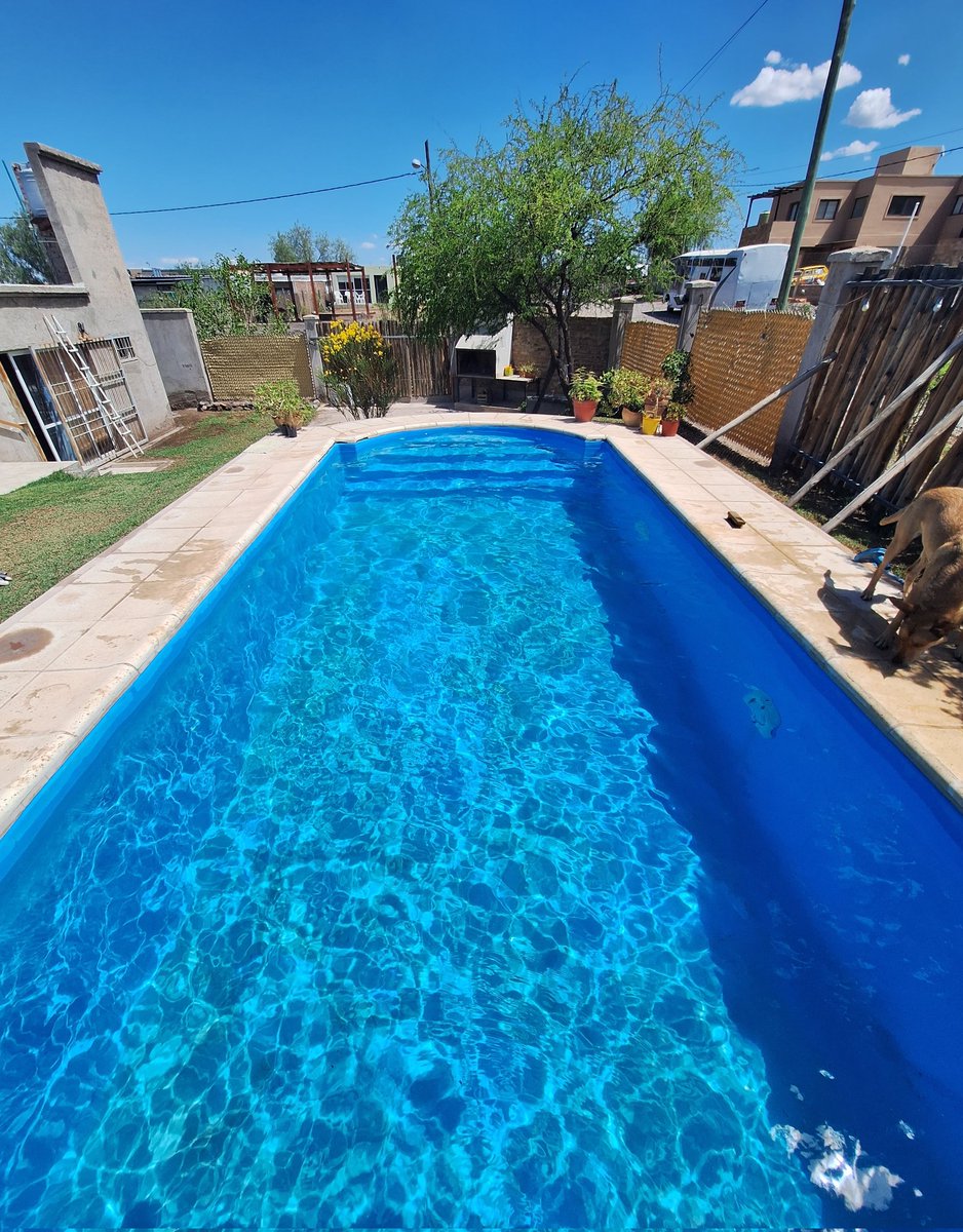 Emilito 🌈🐕⛰️ tweet media