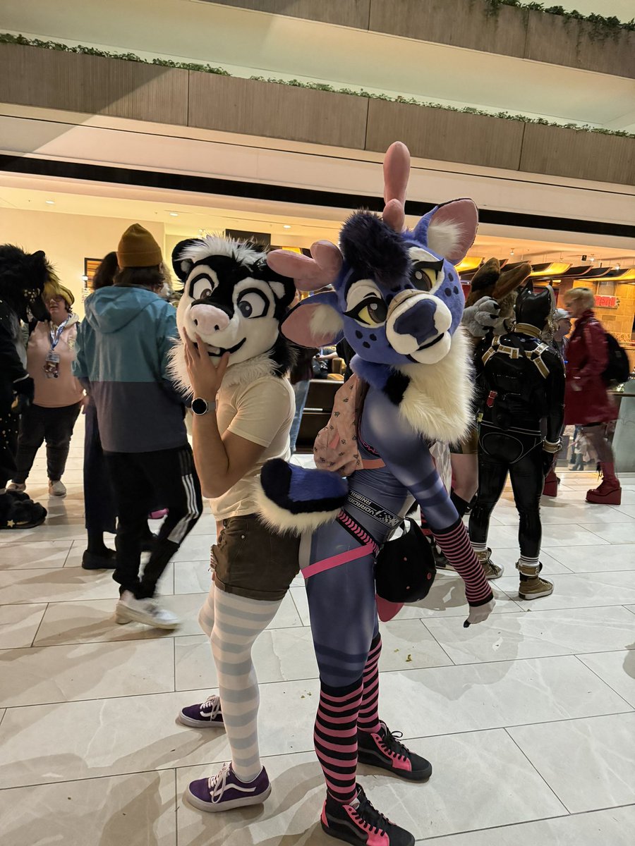 FlipBunny's tweet photo. Check out these two cuties at #mwff2023
Which one do you wanna take back to your room? (Both obviously!)
🦨: @SnickersSkunk
🦌: @Bungee_bucc https://t.co/iMYdXuIolR