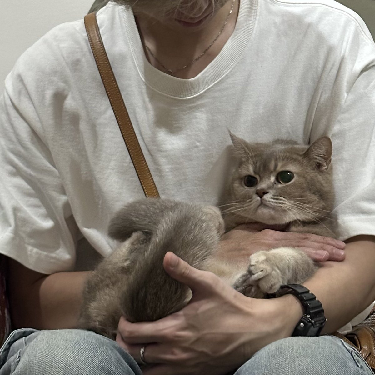 XUAAAN_'s tweet photo. 卡哇伊捏 https://t.co/n7X8lEDFkI