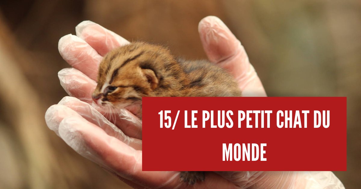 Hitekfr's tweet image. 15 faits insolites, mais pourtant totalement véridiques (partie 2) #Reddit #subreddit #todayilearned | bit.ly/4a0fcp0
