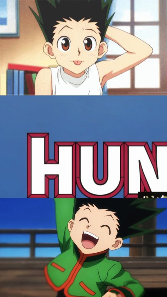 Hiato de Hunter x Hunter vai terminar, promete criador