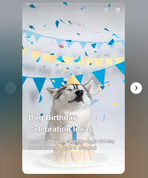 Dog Birthday Celebration Ideas

Celebrating your furry friend's birthday can be a fun and memorable experience. 

Here are 10 tips to make your dog's birthday celebration special

webstories.today/watch/dog-birt…