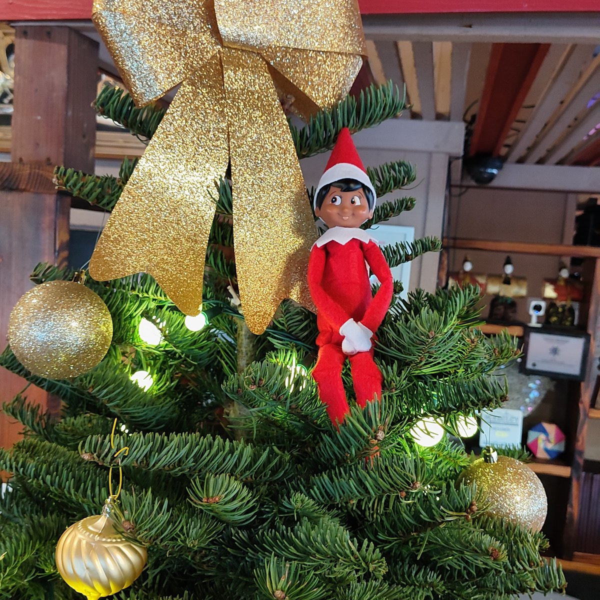 🎉🎄Unleash the Elfie Magic 🎄🎉

Our Elf is on the loose around the restaurant. Find our infamous Elfie and snap a selfie. Post on twitter and tag <a href="/hanajapan1979/">Hana Japan Steak & Seafood</a> for a chance to win a $50 or $100 gift card that we will draw winners for each week.
