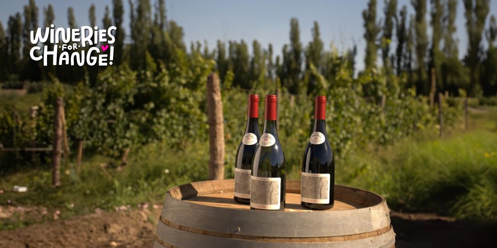 📍 <a href="/marcelomiras/">Marcelo Miras</a> is the founder of <a href="/BodegaMiras/">Bodega Miras</a>. He implemented a collective change to benefit his generation and future ones, improving water quality and waste management ♻️.

📲 Discover their commitment to #SustainableViticulture: blog.winesofargentina.com/wineries-for-c…

#WineriesForChange