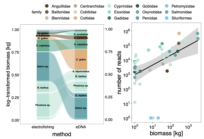 Fishing for #eDNA to measure #biodiversity🐟🐡: cdnsciencepub.com/doi/abs/10.113… Identifying the #fish species present in a #river based on traces of their DNA: this method has been successfully tested at 90 sites in #Switzerland 🇨🇭 Report @snf_ch snf.ch/en/H7ydSSGK7jQ… @bafuCH