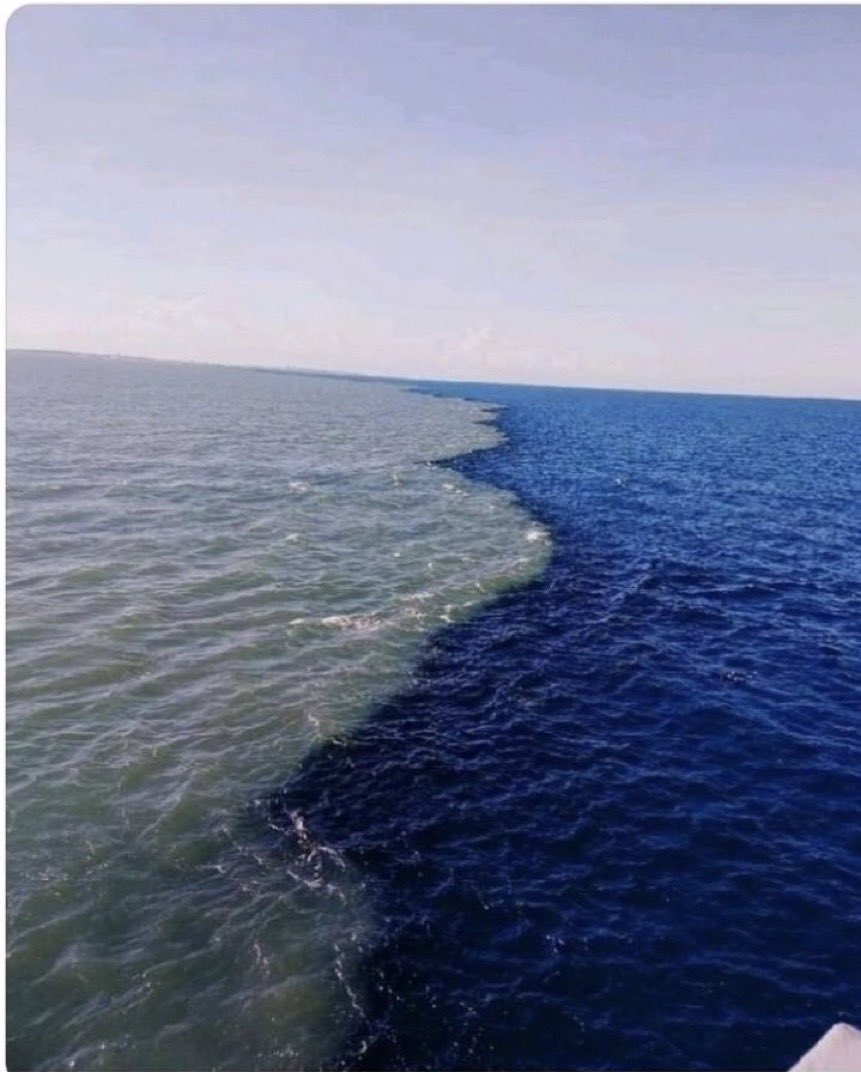 seedingIsscam's tweet image. Great leaders are open books. You see all their pages, not just the highlights. Authenticity inspires TRUST.