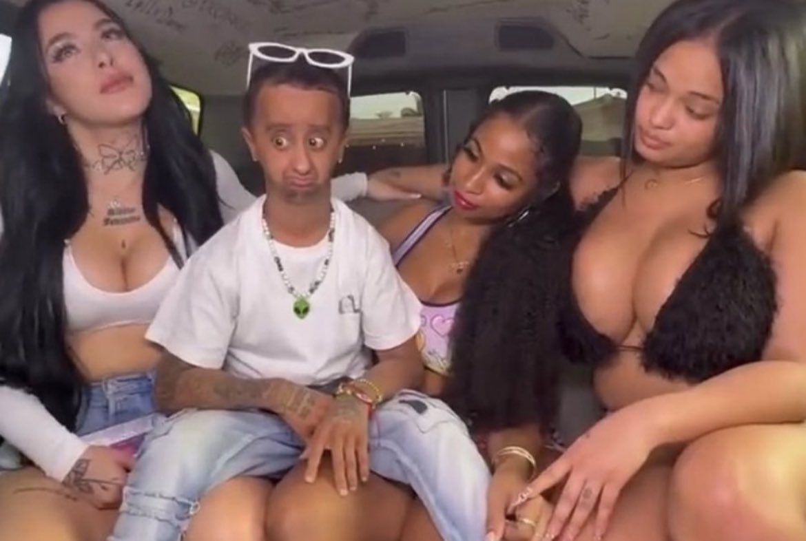 ryan 🤿 tweet media