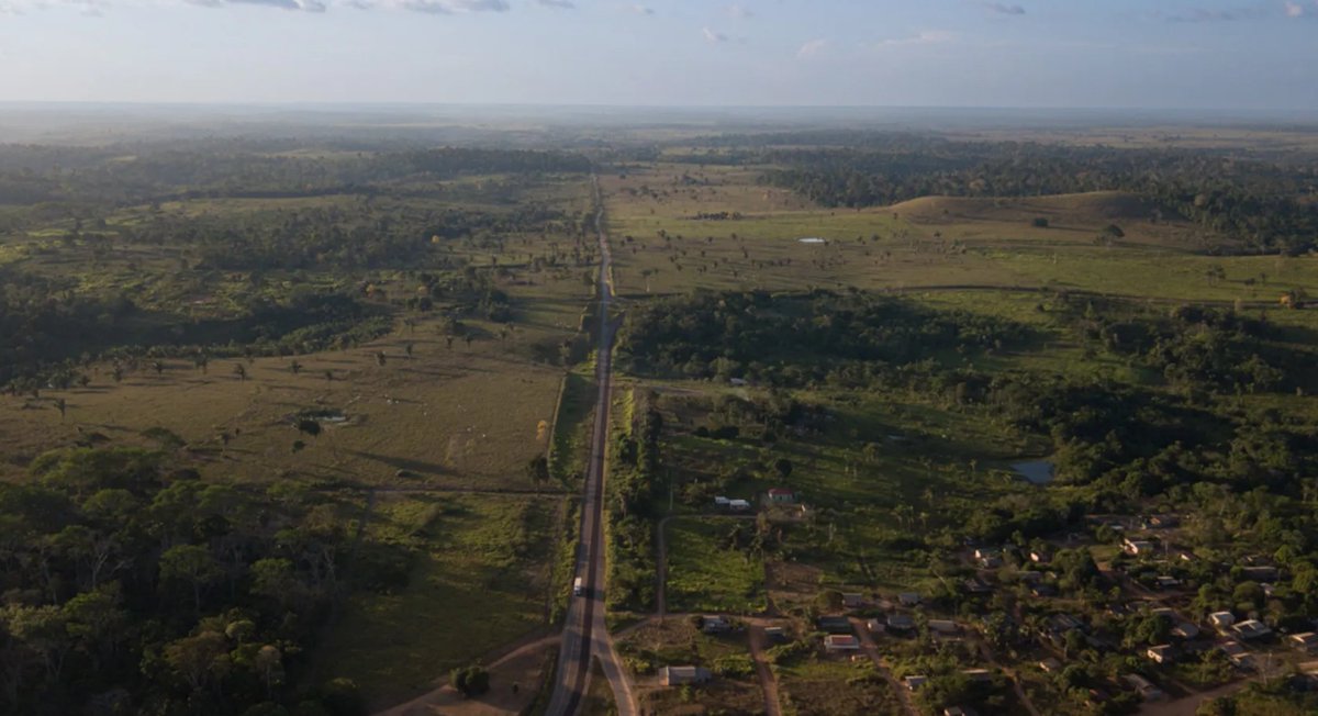 r_gallmetzer's tweet photo. “No Man’s Forest” is a new special report by @O_Eco, supported by CCCA, @InfoAmazoniaBR and @Imazon. It addresses the lack of land regulation in the Amazon, and how that affects deforestation. This is an essential topic for Brazil and for the climate.

https://t.co/xqdKu6VKAk https://t.co/xEOVkf08Lp