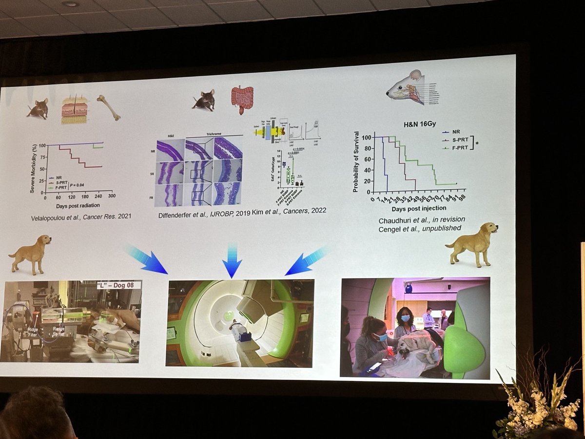 Alexander Lin ⁦@PennMedicine⁩ outlines preclinical to patient “ways to think big” with pragmatic integration of #FLASHrt into multimodal cancer therapy. #FRPT23 ⁦@FlashRPT⁩