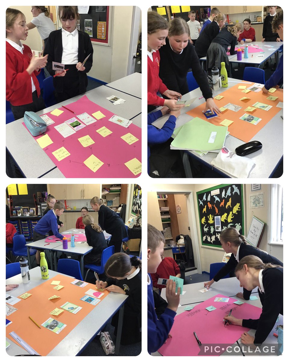 yr6melthamce's tweet photo. Class 14 enjoyed an afternoon classifying vertebrates according to their characteristics #melthamscience https://t.co/bGrGV7byUL