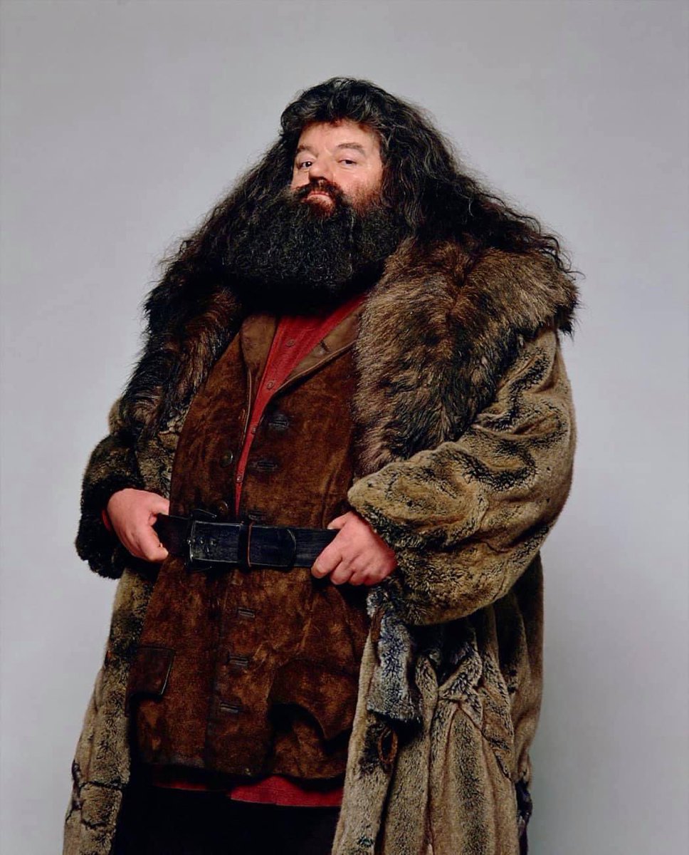 ClubPotterhead's tweet photo. “A Hagrid, le confiaría mi vida”.

El día de hoy cumple 95 años el profesor Rubeus Hagrid, mago semi gigante, hijo del señor Hagrid, de la giganta Fridwulfa y medio hermano del gigante Grawp. 🎉 https://t.co/WeVXRrJW4e