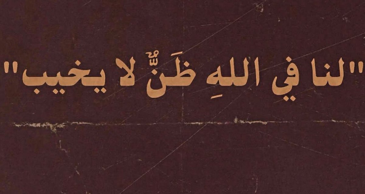 أماني الزهراني tweet media