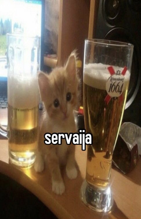 telepixa's tweet photo. mamava agora uma puta duma servaija https://t.co/227SIlv2mI