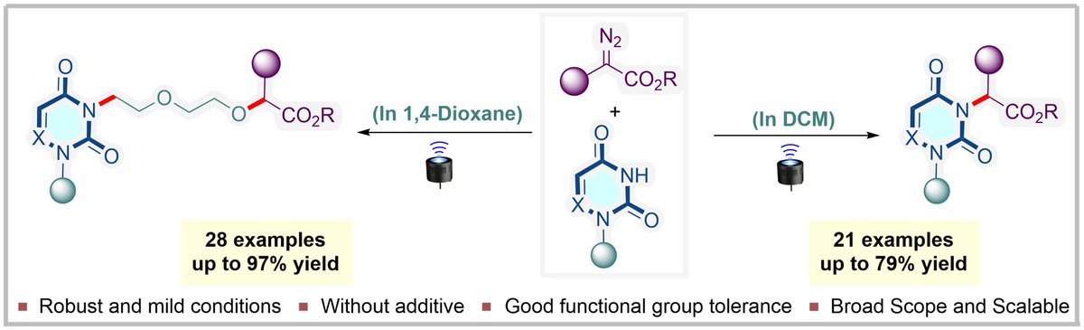 Check out our work on Visible Light Induced Imide Alkylation of Azauracils with Aryl diazoesters as part of @ChemAsianJ special collection on early career researchers. Congratulations @sudhir859 👍👏👏! Thanks to @CSIR_IND @serbonline @iitjodhpur onlinelibrary.wiley.com/doi/10.1002/as…