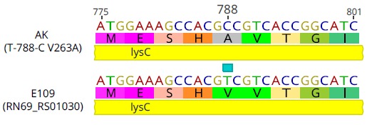 bioinoculantes's tweet photo. Happy to share our last manuscript, we found a new mechanism of tolerance to oxidative stress in rhizobia (oligopeptide uptake via PTS) and applied this knowledge to enhance the soybean inoculant E109
https://t.co/twkKDPVk9v
#IGEAF-@iabimo #INTA #CONICET https://t.co/eCMAYUjN97