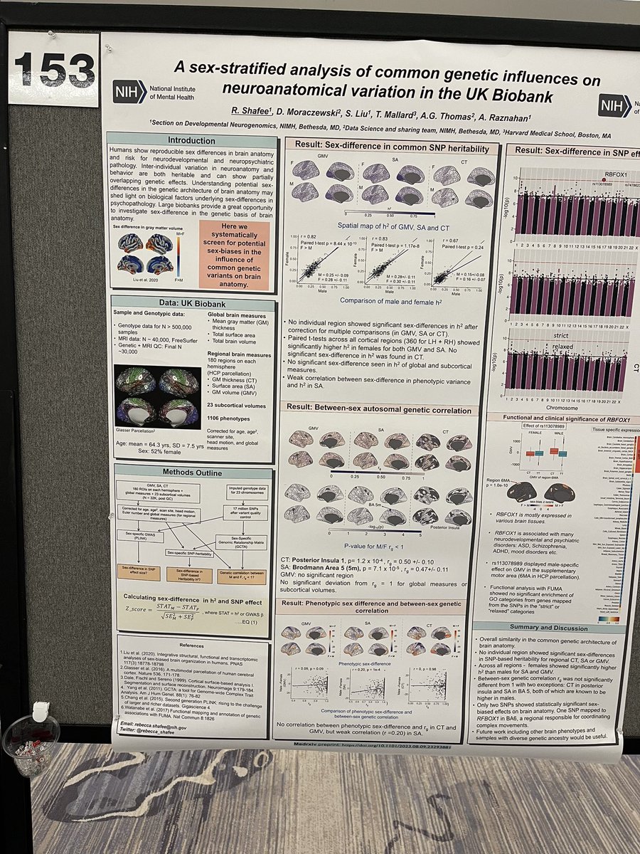 Still at #ACNP2023  and want to hear about our work on sex differences in the genetic basis of human brain anatomy? Stop by 
Poster 153: Wednesday 5-7 pm! 

We performed sex-stratified genetic analyses across 1100 brain MRI phenotypes in 30,000 sample in the UKBiobank.