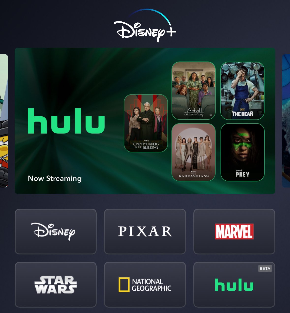 Disney+ on the App Store