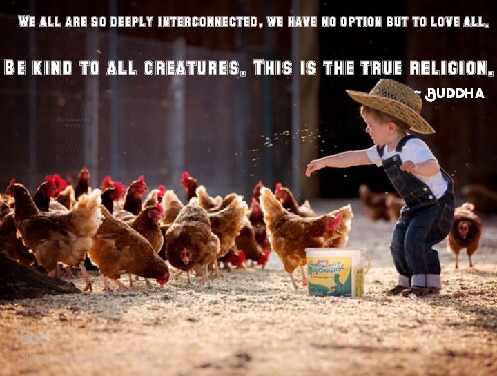 🪷sukshmaⓋ🌱🪷 tweet media