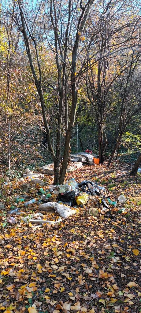 Parco 110 Gialloblù incurato, il comune dov’è? dlvr.it/SznHPz