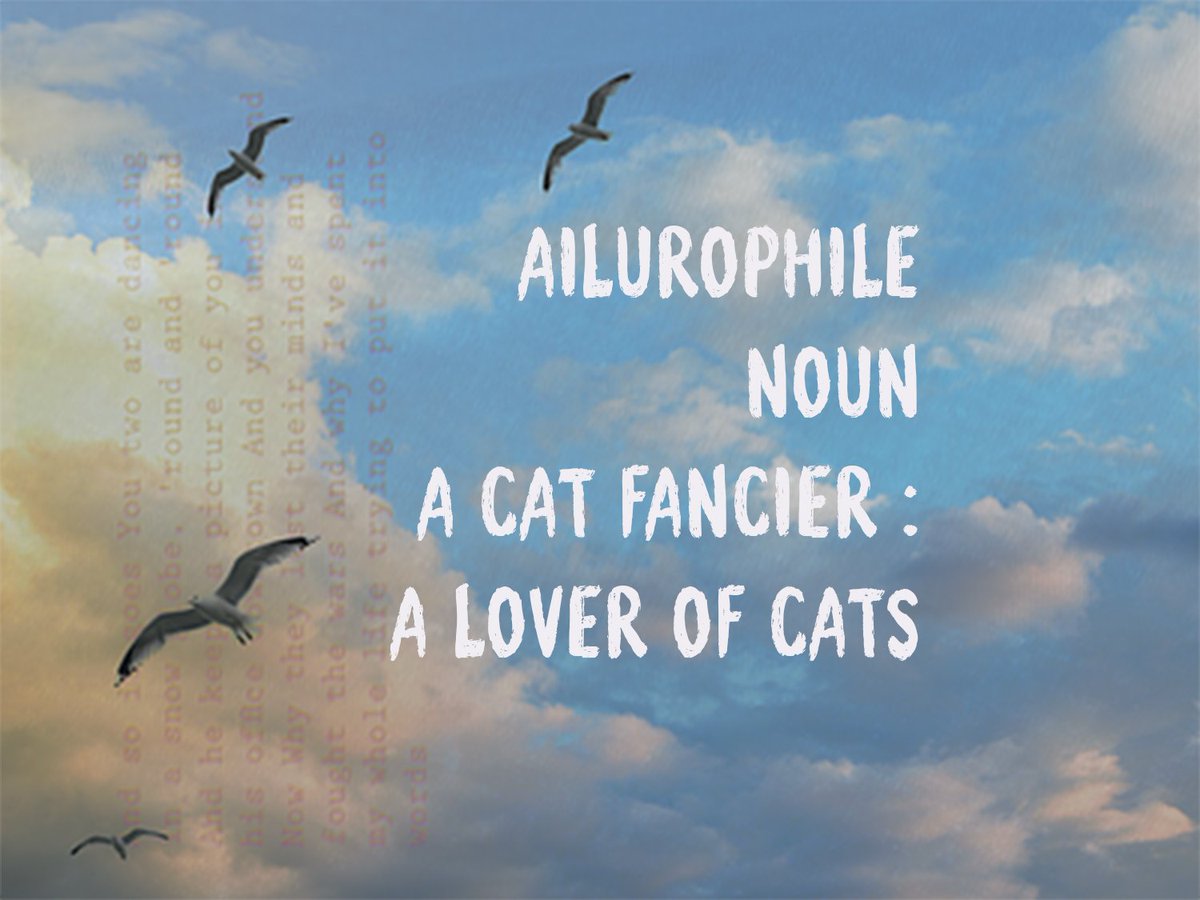 <a href="/taylorswift13/">Taylor Swift</a> definition (Taylor's Version)