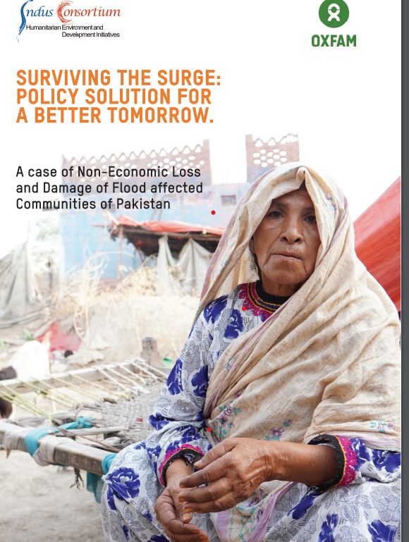 IndusConsortium's tweet photo. https://t.co/QlOQn04hN5 
Non-Economic loss and damage report of flood-affected communities of Pakistan. Pl read the full report on the above link. https://t.co/htQ1T9u05h
