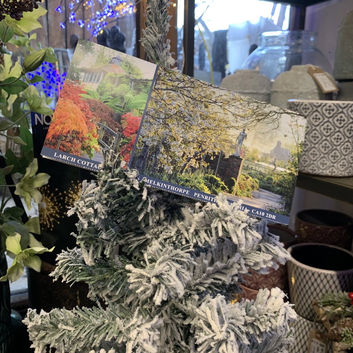 Not sure what to get someone for Christmas,  then a Larch Cottage gift voucher could be the answer. They are valid for 2 years and can be used in the restaurant, nursery or Lower Red Barn.
larchcottage.co.uk/gift-vouchers/  01931712404, or pop into Red Barn. #giftvoucher